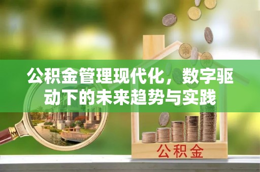 日土公积金管理现代化，数字驱动下的未来趋势与实践