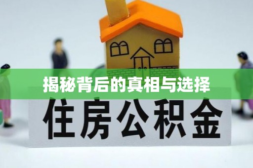 日土揭秘背后的真相与选择