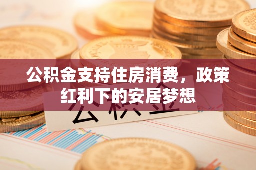日土公积金支持住房消费，政策红利下的安居梦想