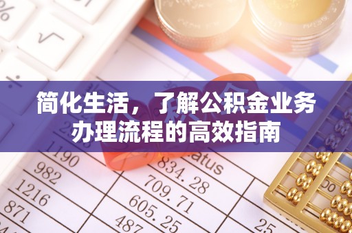 日土简化生活，了解公积金业务办理流程的高效指南