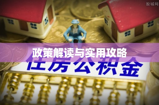 日土政策解读与实用攻略