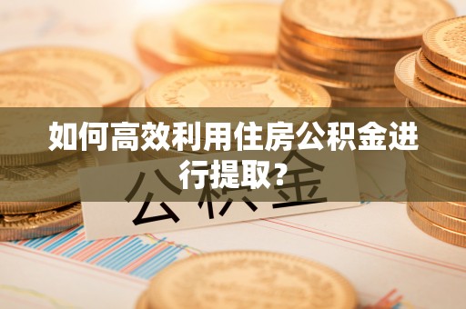 日土如何高效利用住房公积金进行提取？