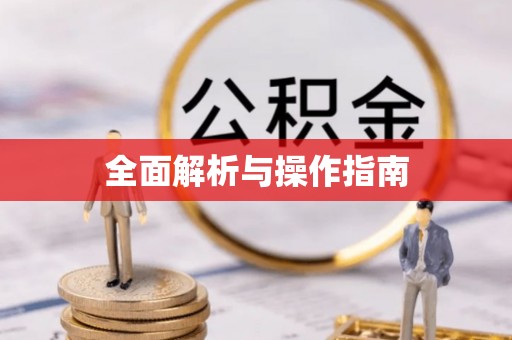 日土全面解析与操作指南